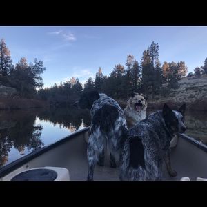 Meet your Posher, Jill